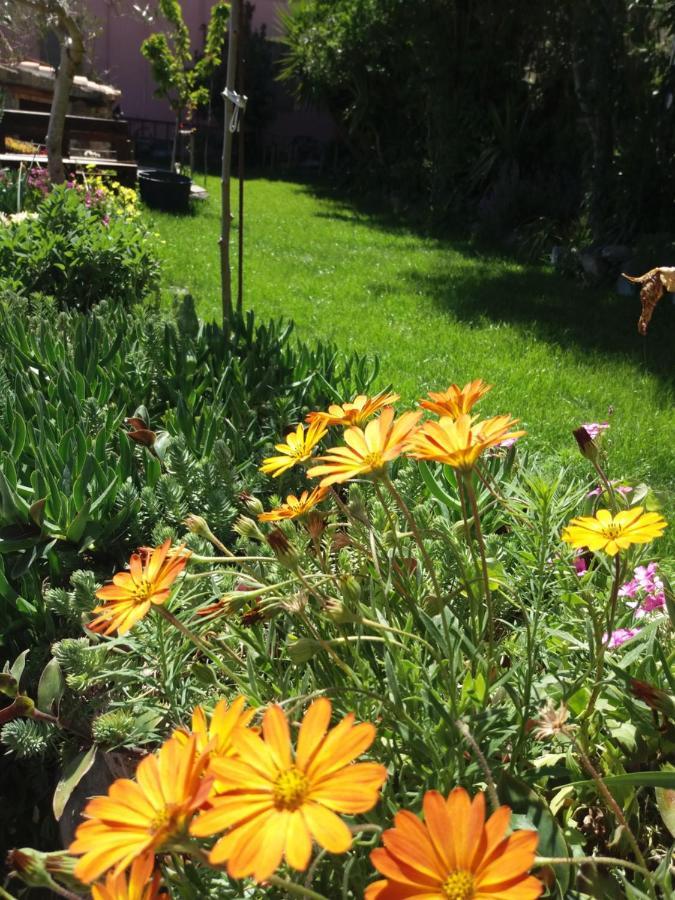 Belli Come Il Sole